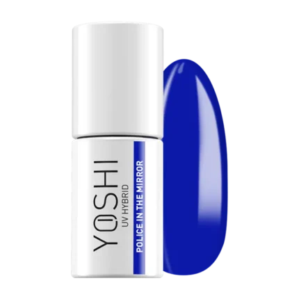 The Color is Now 504