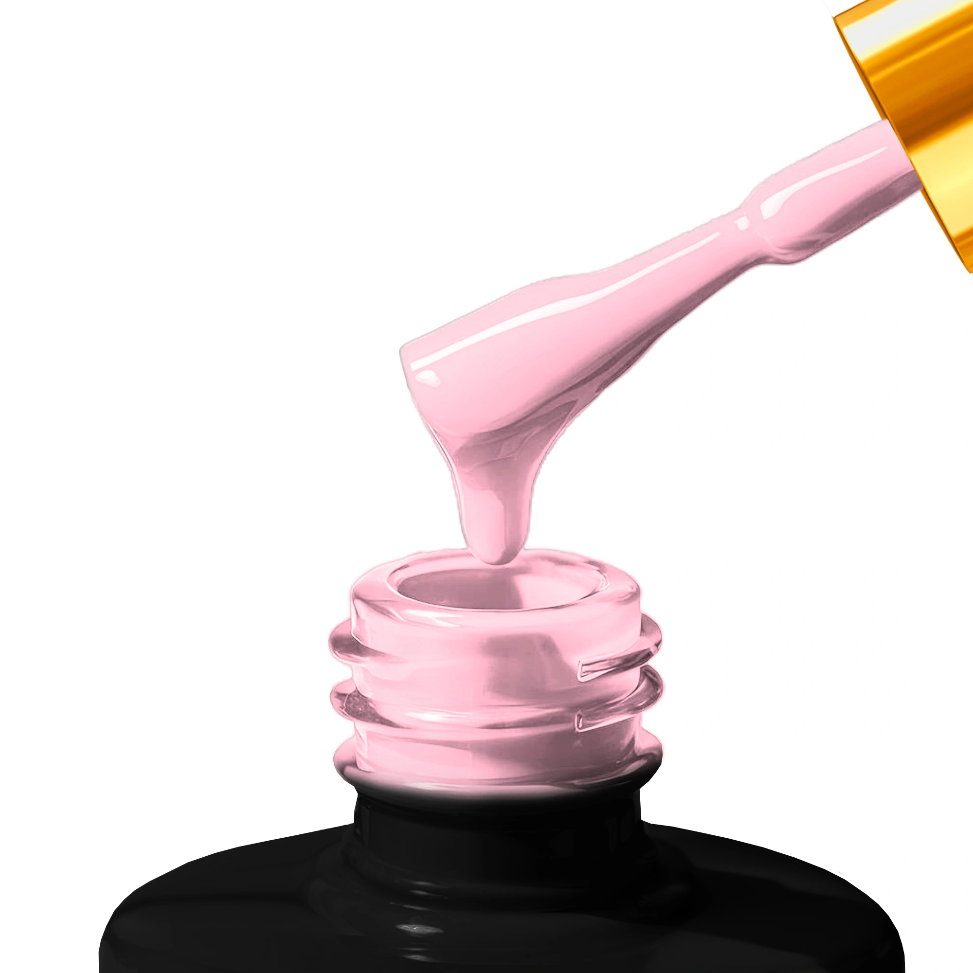 French No5 - Image 3